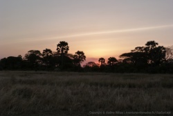 Coucher de soleil à Katavi
