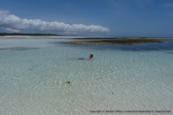 Des piscines naturelles se forment pour notre plus grand bonheur