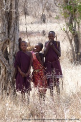 2ème partie - Tanzanie : De Dar Es Salaam à la réserve de Selous