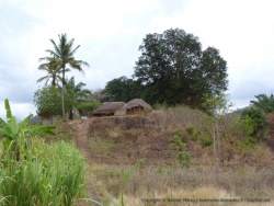 Comme toujours, les villages des cultivateurs sont nickels
