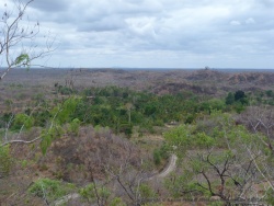 Panorama à perte de vue sur la forêt sèche et clairsemée