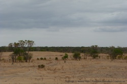 Des paysages de savane ondulante entre les bosquets de forêt