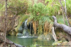 Une source jaillit non loin du lac