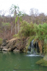 La présence de l'eau en abondance autorise une végétation luxuriante