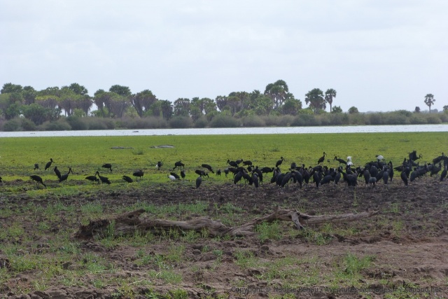 Une explosion de verdure aux abords du deuxième lac