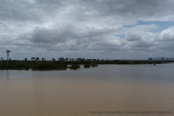 Superbe panorama du Selous