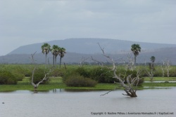 Les lacs ont été formés lors d'une crue exceptionnelle de la rivière Rufiji