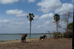 Finalement, on ne doit pas être si intéressant que ça