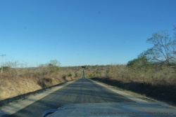 La brousse sèche et rabougrie de chaque côté de la route
