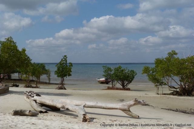 La mangrove est également présente