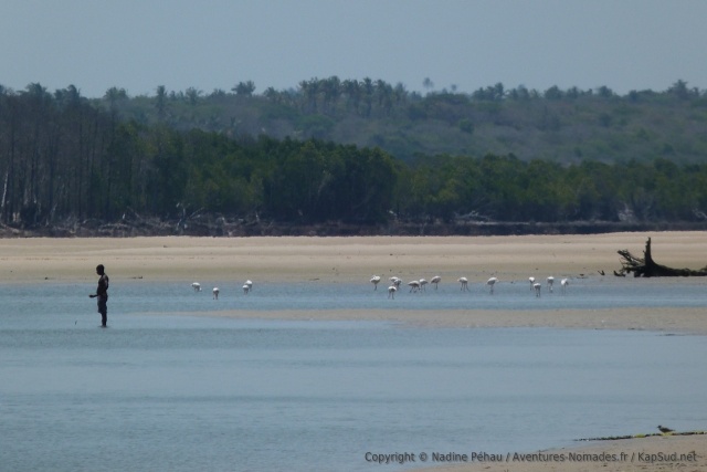Dans la lagune, pêcheurs et flamants roses semblent cohabiter en toute harmonie