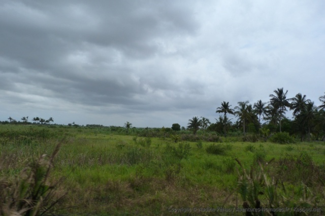 mozambique_2012_1120-123505