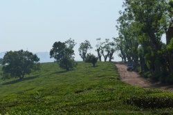6ème partie - Mozambique : De Gurué à Gorongosa