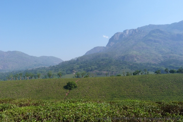 Les brumes matinales entourent encore les montagnes environnantes