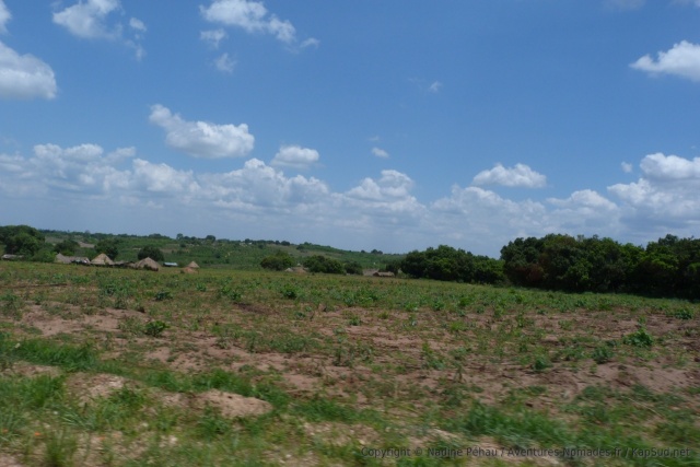 mozambique_2012_1115-131706