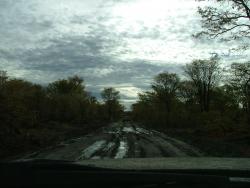 afs_2008_1109(006)