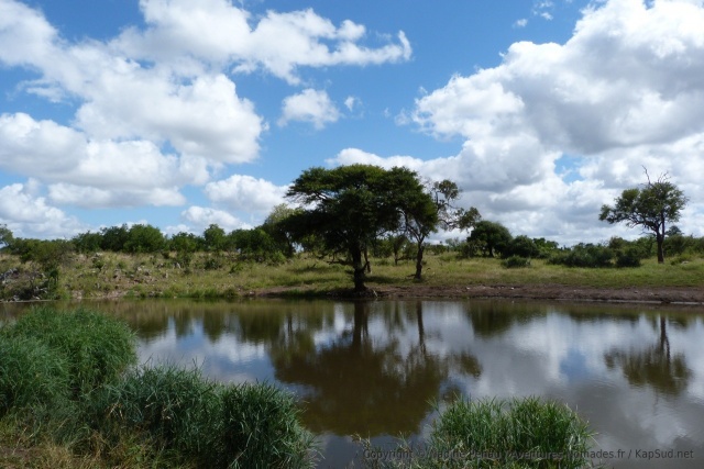 Joli effet miroir sur un bras calme de la rivière