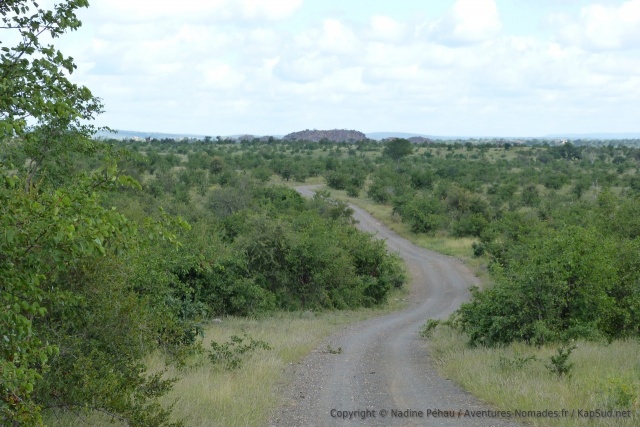 Paysages du nord du Kruger