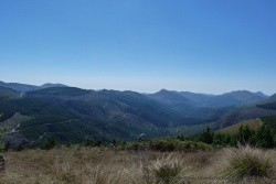 Les montagnes que nous traversons sont entièrement dédiées à la culture intensive du sapin