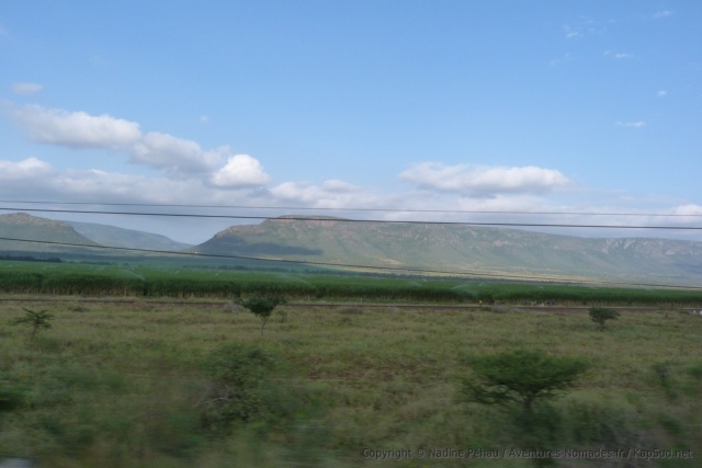 afrique-sud_2013_0504-152445,