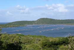 Kosi Bay c'est un petit coin de paradis tout au bout de l'Afrique du Sud
