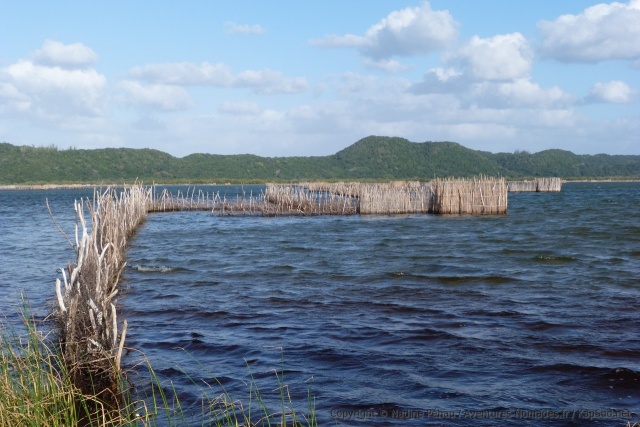Les pièges à poisson sont emblématiques de l'ethnie locale des Tsongas
