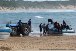 On passe un bon moment à contempler le va et vien incessant des tracteurs et es pick-ups qui viennent remorquer les bateaux des 