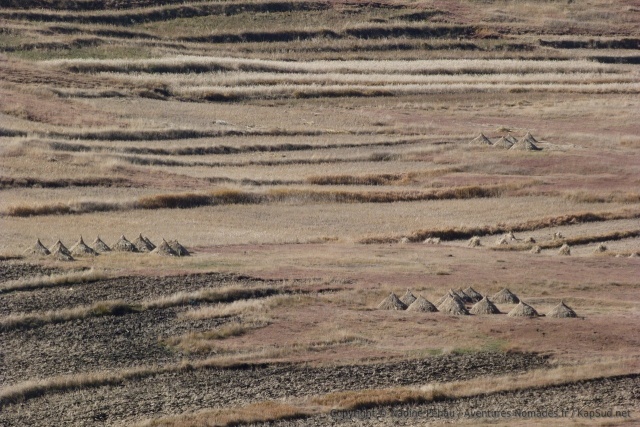 Le résultat de l'activité agricole est particulièrement graphique