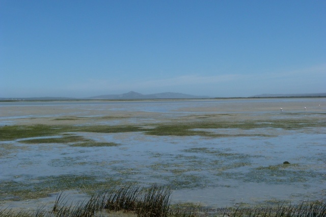 Le West Coast NP avec ses lacs et ses lagunes mérite le déplacement
