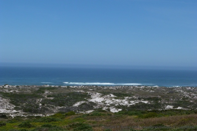 Des dunes couvertes de végétation longent l'océan Atlantique sur des kilomètres