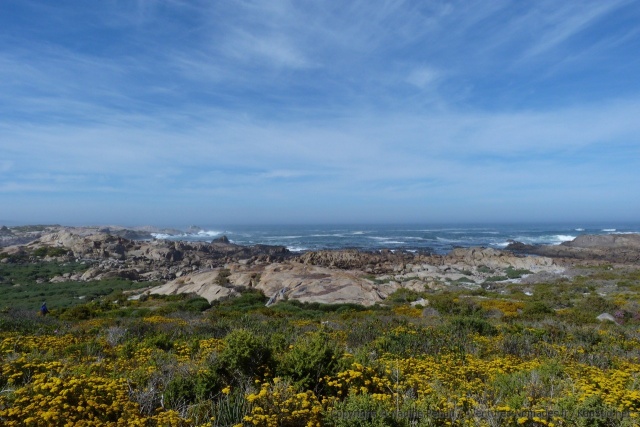 La côte sauvage du Cap columbine