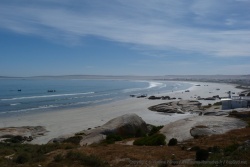 L'immense baie de Paternoster