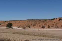 Les célèbres dunes rouges du Kalahari