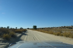 En général, les pistes du Kgalagadi sont en bon état du côté sud-africain