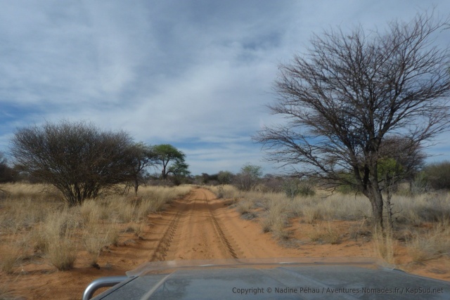 Les pistes du Kalahari dans toute leur splendeur