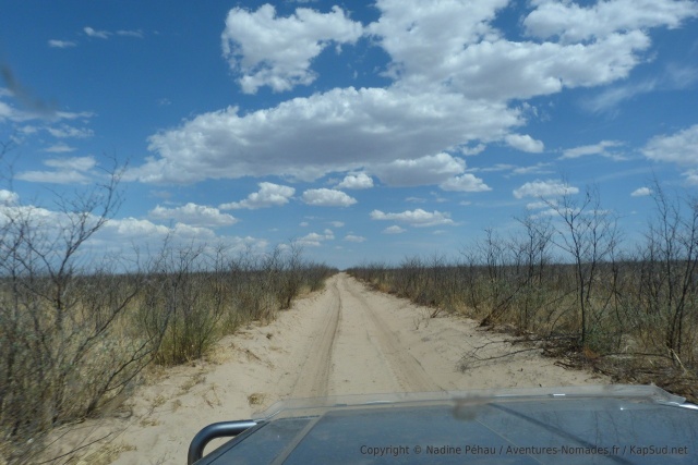 On s'enfonce un peu plus au coeur du Kalahari
