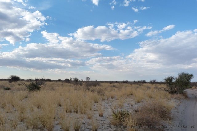 Les paysages sont encore plus désertiques que ceux du KTP