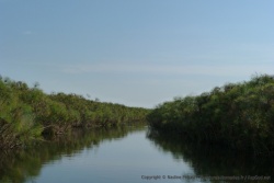 On navigue dans les chenaux étroits du delta