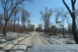 La piste au nord du parc de Khaudum est la portion la plus difficile avec son sable très profond