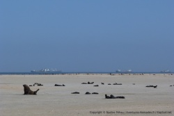 On a vraiment l'impression de ne pas être à notre place avec une voiture