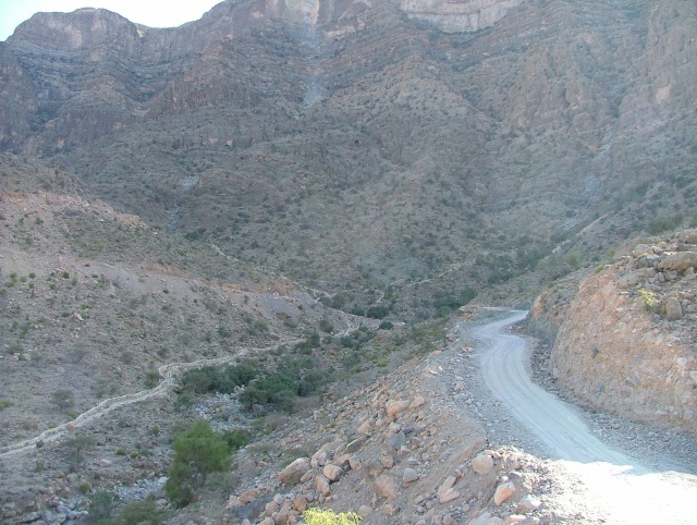 om_2007_0226(024)