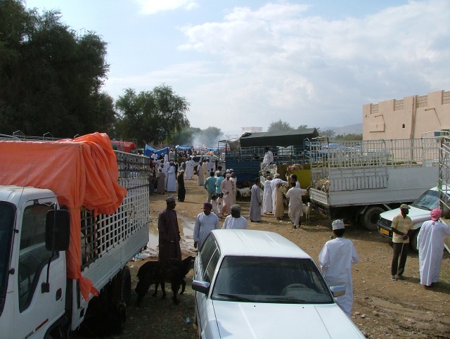 om_2007_0302(014)