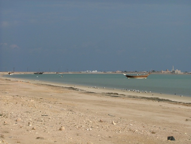 om_2007_0302(026)