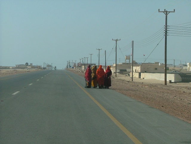 om_2007_0303(013)