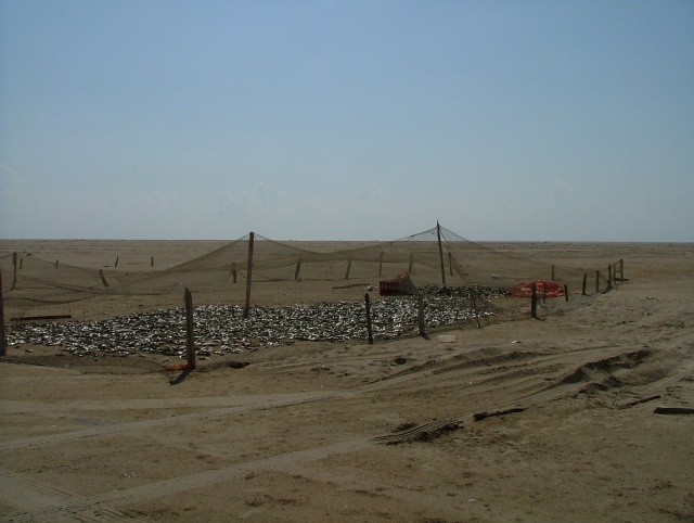 om_2007_0303(018)