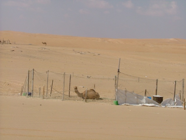 om_2007_0303(026)
