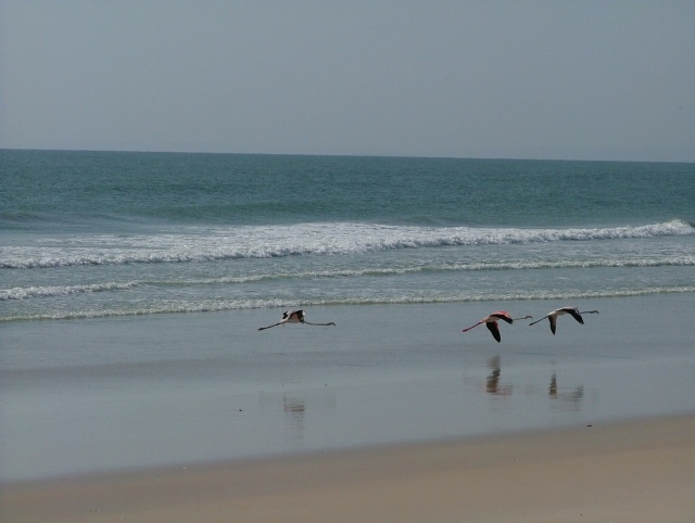 om_2007_1215(034)