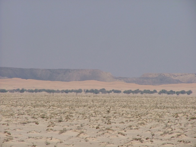 om_2007_1215(036)