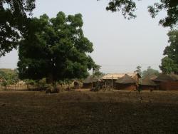 Village de Wolokonto