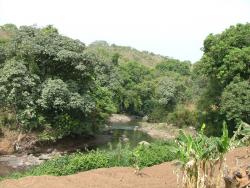 Rivière bucolique de la réserve au nord de la Ring Road	